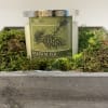 Balsam is the traditional tree of Winter Season. Botanically-accurate woodland fragrance evoking