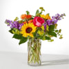 Feel the beauty and joy of the rainbow with this colorful gift.
