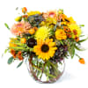 Sunny tones of the fall season arranged in a bubble bowl. Full