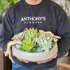 This modern arrangement features six assorted succulents, carefully selected to create a