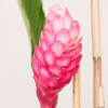 Experience the exotic beauty of Hawaii with our contemporary arrangement featuring vibrant