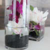 A beautiful pair of Orchids perfect for your office or home