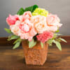  2 SHADES OF ROSES WITH GREEN HYDRANGEA IN A TERRACOTTA POT