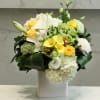 Send this flower arrangement for pure peace and caring and convey your