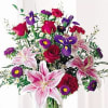 star gazes carnation and rose 