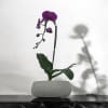 A high quality Single purple orchid arrangement with a vase 8.5&quot; D