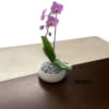 A high quality Single pink orchid arrangement with a vase 8.5&quot; D