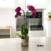 A high quality Double purple orchids arrangement with a vase 7&quot; D