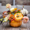 Bring a touch of autumn charm to any space with Pumpkin Luxe
