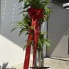 Please place your order 2&ndash;3 days in advance to ensure availability. 
For