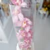 It&#039;s contemporary. It&#039;s gorgeous! It&#039;s stunning Orchids placed in a tall cylinder