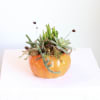Embrace the spirit of autumn with this Ceramic Pumpkin Planter, filled with