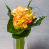 An abundant arrangement of popular Calla Lilies -of any color - nestled