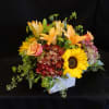 &ldquo;Blazing Birch&rdquo; is a vibrant fall arrangement featuring golden sunflowers, orange lilies