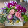 &quot;Amber is the color of your energy.&quot; Orchids, Rutabaga, Kale, Roses, Leucadendron