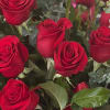 Beautiful 24 long roses arranged in a clear glass vase 