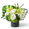 A graceful blend of white roses, orchids, and green hydrangea&mdash;lush and romantic