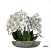 A high quality Sixteen white orchids arrangement with a vase 20&quot; D