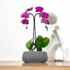 A high quality Double purple orchids arrangement with a vase 8.5&quot; D