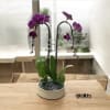 A high quality Double purple orchids arrangement with a vase 9.5&quot; D
