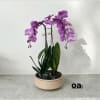 A high quality Double pink orchids arrangement with a vase 9.5&quot; D