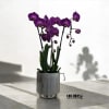 A high quality Triple purple orchids arrangement with a vase 7&quot; D
