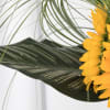 Capture the essence of summer with this sleek and modern sunflower arrangement