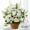 White roses, cushion poms, larkspur