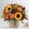 This arrangement had a variety of Fall flowers arranged inside of a