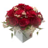  15 Premium red roses for standard