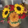 Combine the fall blooms with this wonderful pumpkin seasonal arrangement. Housed in