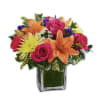 Healing Tears in Multicolor is a beautiful mix of Colorful flowers in