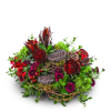 Rosewood Embrace is a rich mix of deep red roses, burgundy blooms