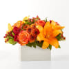 BACKYARD BONFIRE BOUQUET

Step into autumn with fiery red and orange petals, expertly