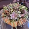 
A pumpkin succulent floral arrangement is a creative and seasonal display to