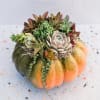 Embrace the Cutest Fall Decor

Fall is in the air, and there&#039;s no