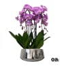 A high quality Five pink orchids arrangement with a vase 9&quot; D