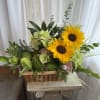 We grew some really nice cucumbers here at the flower shop in