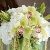 For someone precious in your life who deserves the best of everything!