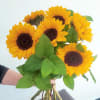 Make every day brighter with our bouquet of fresh sunflowers. These radiant
