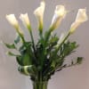 Calla-Lily , Assorted Fancy Greens  
Call 908-234-2900  for Availability