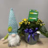 As shown w/ $15 gift card included 
