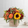 Fall Flowers designed in a rustic wooden box gives warm of the