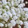 Designer&rsquo;s Choice of fresh seasonal blooms elegantly designed.

Due to the current situation