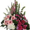 Gerberas daisies, Snapdragons, Roses, bells of Ireland, hydrangea  and more arranged