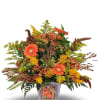 Select this bright colored fall arrangement full of unique flowers including gerbera
