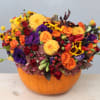 What better container than a pumpkin for this time of the season?!