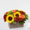 Delight your friends and family with an assortment of bright Autumn colors