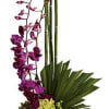Artistry, indeed. Looking more like modern sculpture than a floral arrangement, this