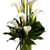 Who&#039;s the fairest of them all? Elegant callas, without a doubt. The